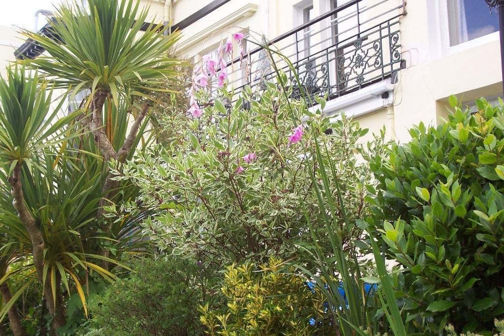Bed and Breakfast Ashwood Grange Торкі Екстер'єр фото
